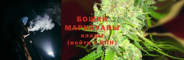 ПСИЛОЦИБИНОВЫЕ ГРИБЫ Аркадак