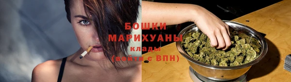 ПСИЛОЦИБИНОВЫЕ ГРИБЫ Аркадак