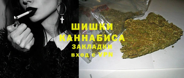 ПСИЛОЦИБИНОВЫЕ ГРИБЫ Аркадак