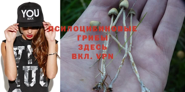 ПСИЛОЦИБИНОВЫЕ ГРИБЫ Аркадак